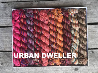 A Koigu Pencil Box in the Urban Dweller colorway, featuring mini skeins in red, orange, brown, and tan shades, is displayed on a wooden surface. URBAN DWELLER is boldly printed in white at the bottom left of the image.