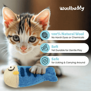 A small kitten with orange, black, and white fur bats at a blue and beige Felted Fish Cat Toy. The handmade natural wool toy by Woolbuddy is eco-friendly, soft yet durable, and safe for licking or carrying. Logo is visible.