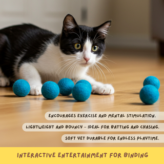 A black and white cat lies on a wooden floor with Wool Felted Cat Toy Balls, which offer exercise, mental stimulation, durability, eco-friendly materials, and interactive playtime.
