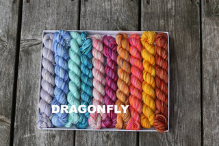 A Koigu Pencil Box in the Dragonfly colorway, featuring soft Merino wool mini skeins arranged in a gradient from cool blues and purples to warm pinks, oranges, and yellows on a weathered wooden surface. “DRAGONFLY” appears in bold white letters.