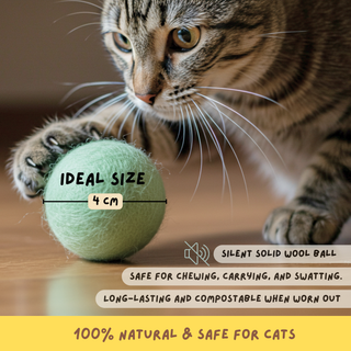 A tabby cat plays with Wool Felted Cat Toy Balls—green, 4 cm, silent and durable. These eco-friendly toys are compostable, safe for cats, and made from 100% natural materials.