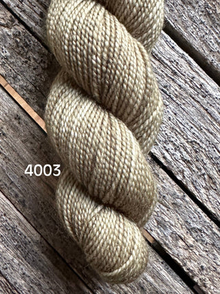 A skein of Koigu KPM & KPPPM Fingering Weight Yarn in light tan (color 4003) with a subtle sheen and tight twist sits on a rustic wooden surface.