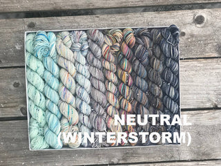 A Koigu Pencil Box of mini skeins in variegated merino wool yarn—blue, gray, and beige shades—arranged in a light-to-dark gradient, labeled NEUTRAL (WINTERSTORM), sits on a wooden surface.