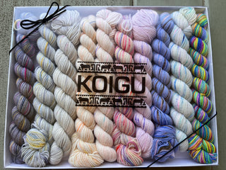 The Koigu Pencil Box in Fairy Floss features twelve skeins of colorful fingering yarn made from soft Merino Wool, neatly arranged with the KOIGU brand on the plastic cover and tied with black ribbon at two corners.