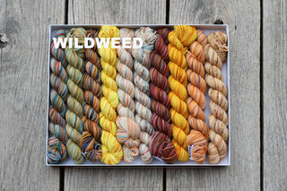 A Koigu Pencil Box in the Wildweed colorway features multicolored mini skeins neatly arranged in rows on a wooden surface, with WILDWEED in bold white letters at the top left of the box.