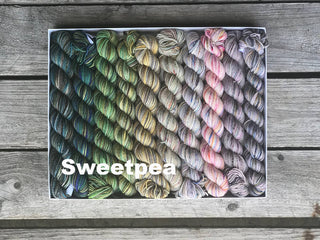 The Koigu Pencil Box in Sweet Pea features fingering weight merino yarn arranged in a gradient from green and blue to pink and grey, with Sweetpea labeled in white on the lower left corner.