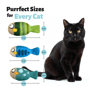 A black cat sits beside three colorful Felted Fish Cat Toys in green, blue, and teal. Text reads: "Purrfect Sizes for Every Cat." These eco-friendly toys are handmade from natural wool.