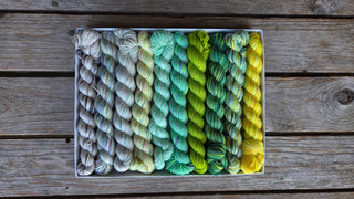 A Spooky Season Koigu Pencil Box in Ectoplasm, filled with mini skeins of Merino wool yarns in a gradient from light gray to bright yellow and green, artfully arranged on a rustic wooden surface.