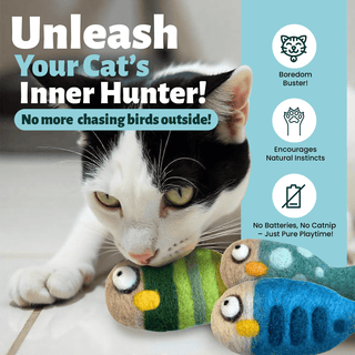 A black and white cat crouches by two Felted Fish Cat Toys. Text reads: Unleash Your Cat’s Inner Hunter! No more chasing birds—these toys are boredom busters, spark natural instincts, and promise pure playtime.