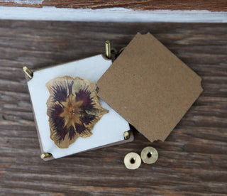 A pressed, dried flower from a Miniature Flower Press is mounted on white paper in a small square frame with brass corners. Nearby are a plain brown cardboard cover and two round metal fasteners, all on a wooden surface.